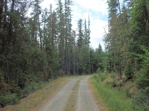 GDMBR, south of Fatty Creek, MT.